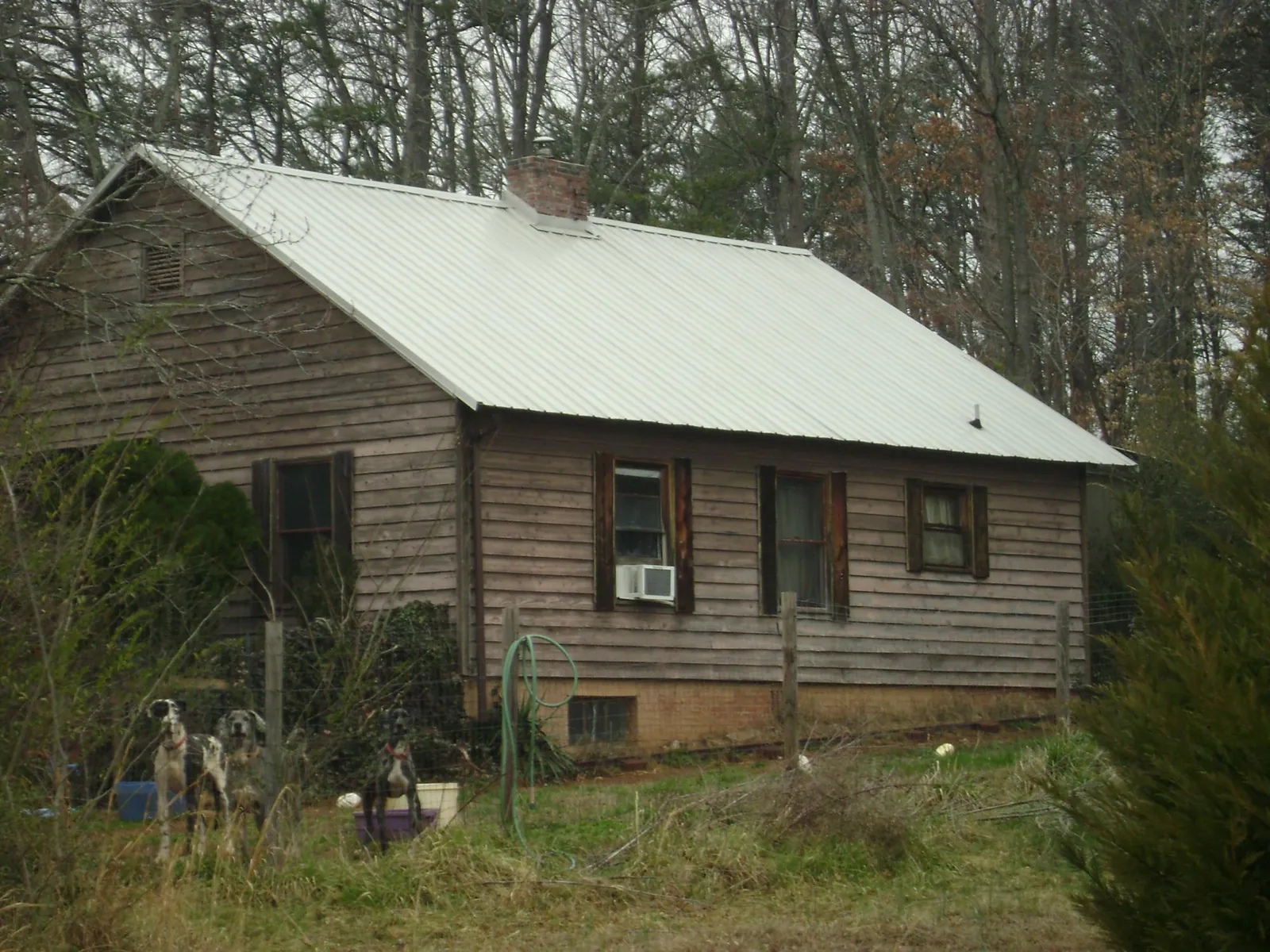 White metal roof on an old wood sided farmhouse, from a Asphalt Shingle Roof Repair job in Twin City